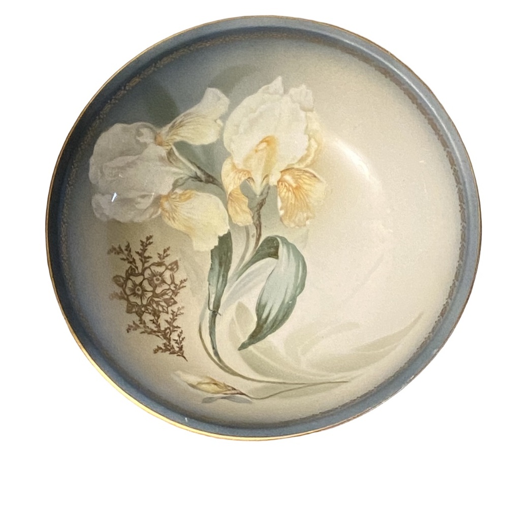 RS Silesia Germany Gold Gilt Hand Painted Tulip Porcelain Bowl c.1920s 9" - Picture 4 of 16